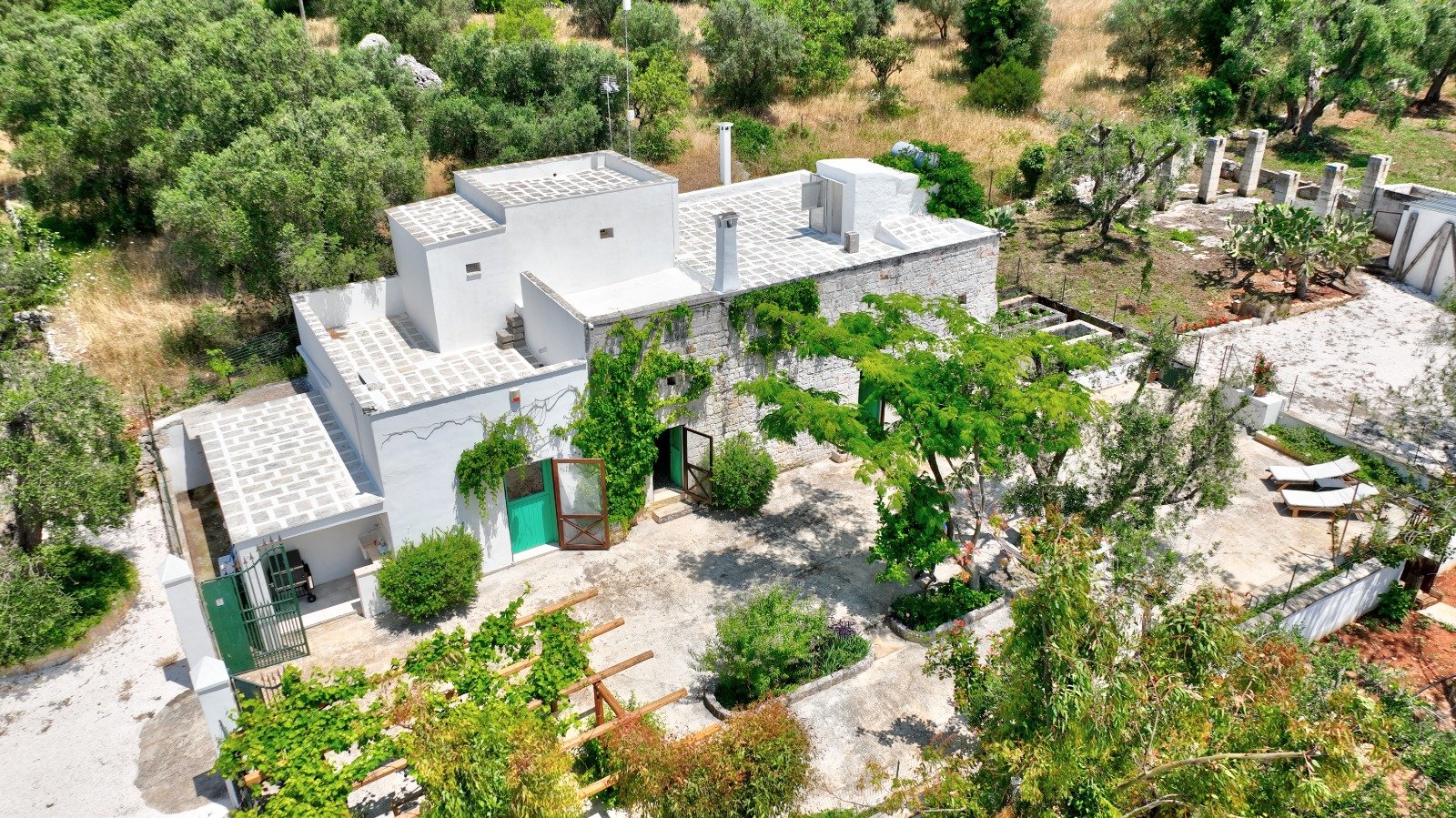 Vista aerea degli edifici bianchi della masseria tra gli ulivi