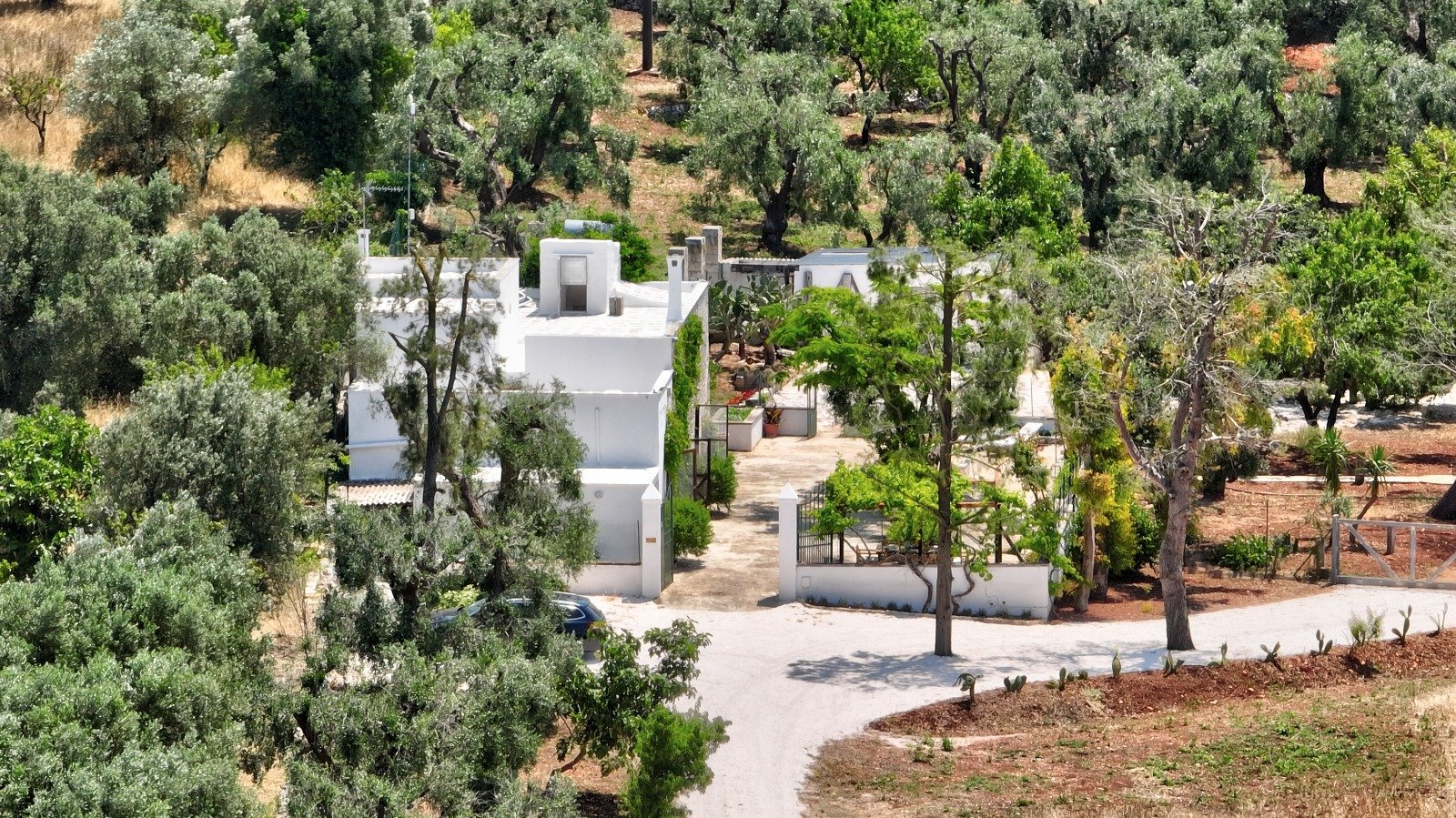 Vista aerea della masseria con piscina e uliveto a Ostuni
