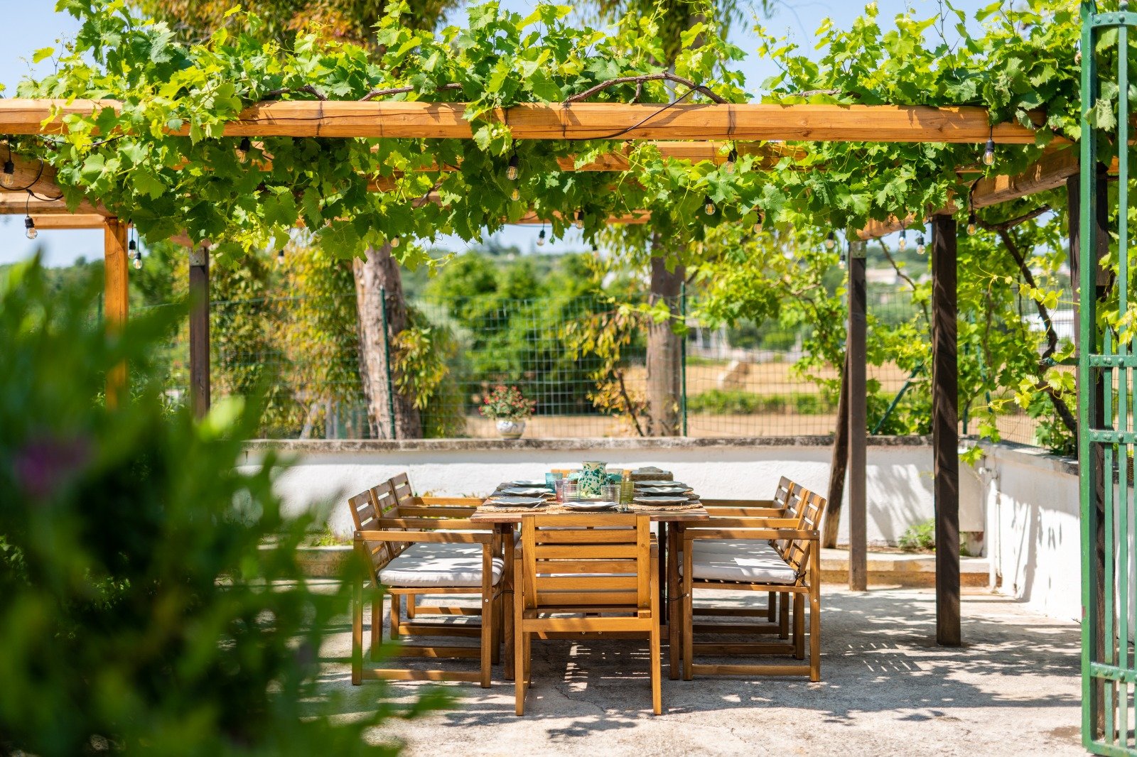 Pergolato coperto di vite con tavolo da pranzo, masseria a Ostuni