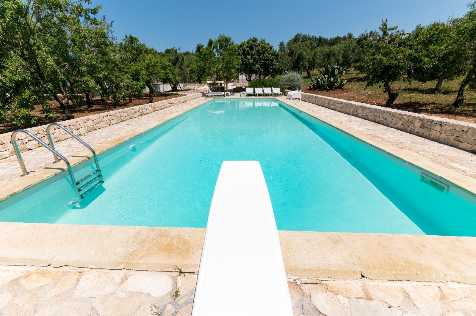 Piscina privata con solarium tra gli ulivi della Masseria Bel Cortile, Ostuni